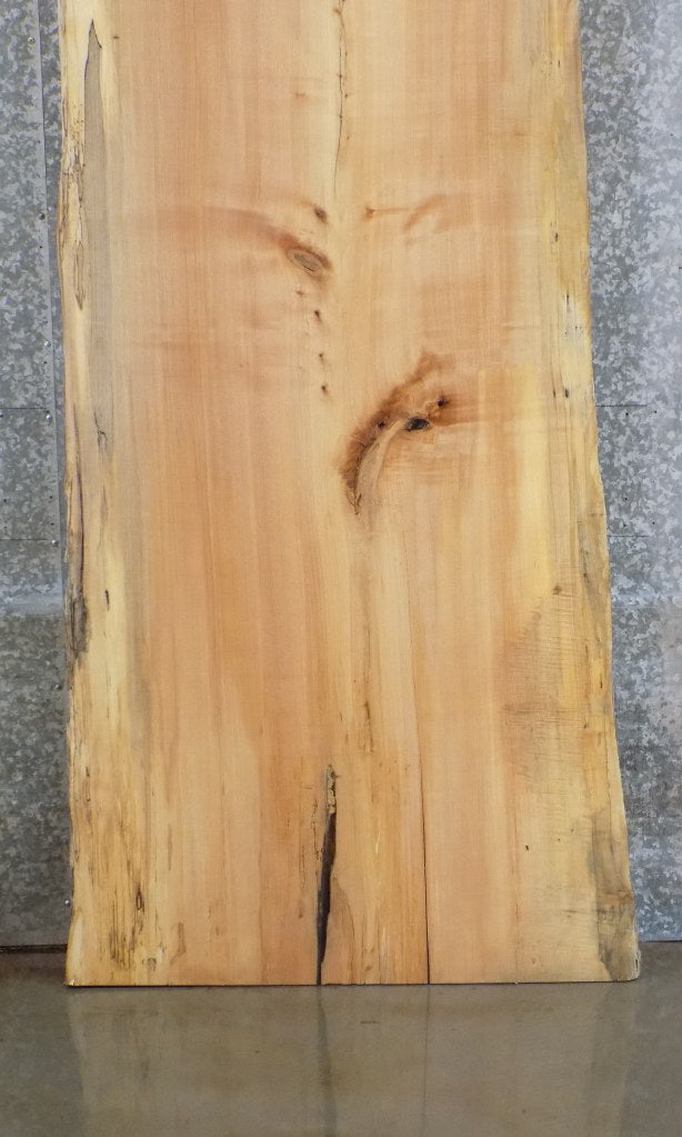Salvaged Live Edge Spalted Maple Bar/Table Top Wood Slab 42026