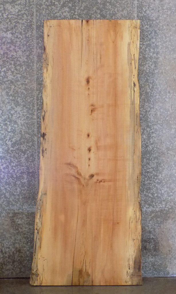 Salvaged Live Edge Spalted Maple Bar/Table Top Wood Slab 42026