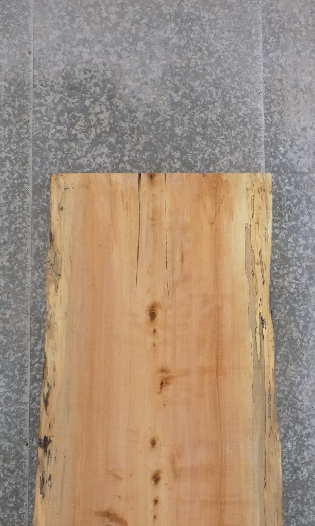 Salvaged Live Edge Spalted Maple Bar/Table Top Wood Slab 42026