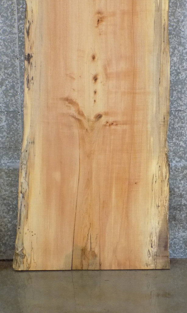 Salvaged Live Edge Spalted Maple Bar/Table Top Wood Slab 42026