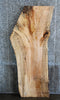 Thumbnail for Live Edge Spalted Maple Desk/Coffee Table Top Slab 42034