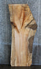 Thumbnail for Live Edge Spalted Maple Desk/Coffee Table Top Slab 42034