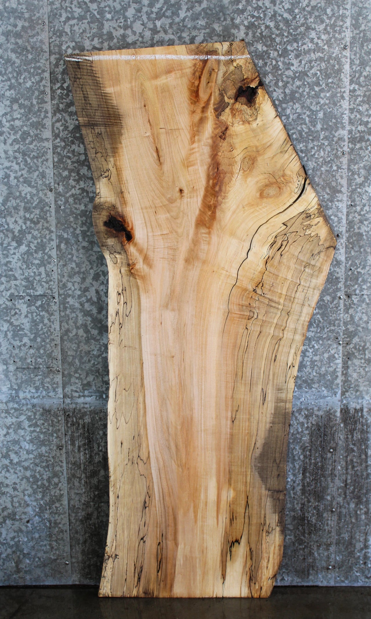 Live Edge Spalted Maple Desk/Coffee Table Top Slab 42035