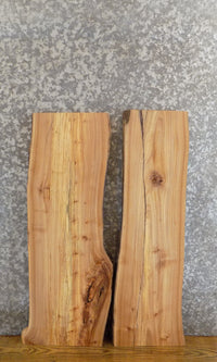 Thumbnail for 2- Rustic Live Edge Elm DIY Charcuterie Boards/Wood Shelf Slabs 4206-4207