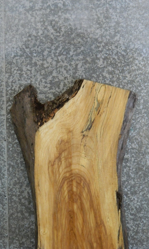 Natural Edge Rustic Ash Coffee Table Wood Slab 42051