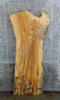 Thumbnail for Natural Edge Rustic Ash Coffee Table Wood Slab 42051