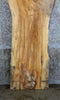 Thumbnail for Natural Edge Rustic Ash Coffee Table Wood Slab 42051