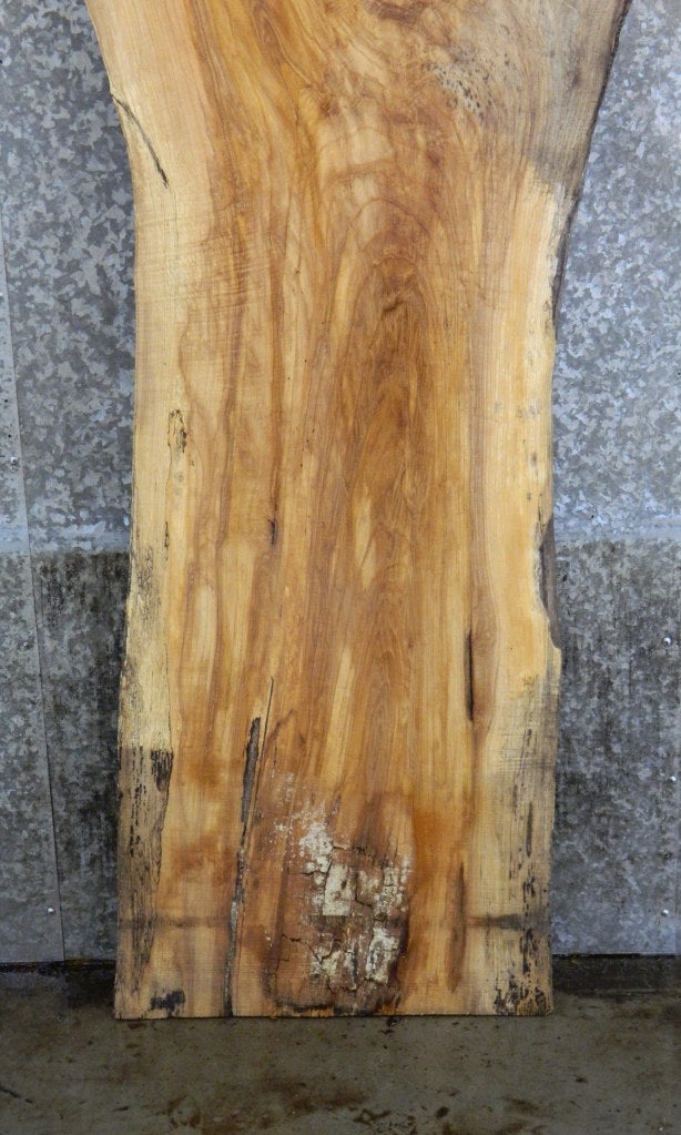 Natural Edge Rustic Ash Coffee Table Wood Slab 42051