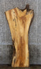 Thumbnail for Natural Edge Ash Rustic Headboard Wood Slab 42055