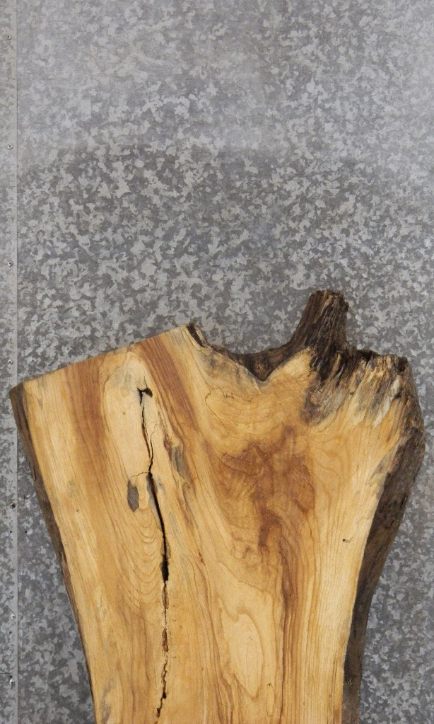 Natural Edge Ash Rustic Headboard Wood Slab 42055