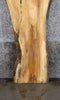 Thumbnail for Natural Edge Ash Rustic Headboard Wood Slab 42055