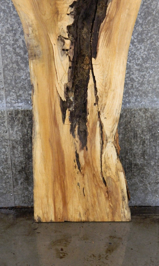 Natural Edge Ash Rustic Headboard Wood Slab 42055