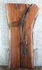 Thumbnail for Live Edge Black Walnut Table/Desk Top Slab 42071