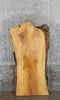 Thumbnail for Ash Rustic Desk/Coffee/Kitchen Table Top Slab CLOSEOUT 42074
