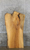 Thumbnail for Ash Rustic Desk/Coffee/Kitchen Table Top Slab CLOSEOUT 42074