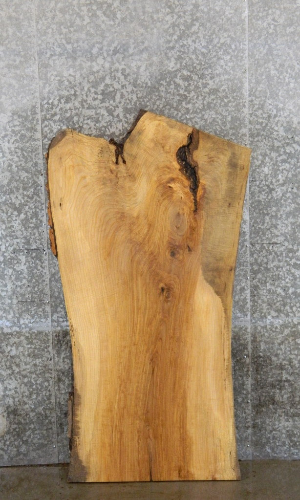 Ash Rustic Desk/Coffee/Kitchen Table Top Slab CLOSEOUT 42074