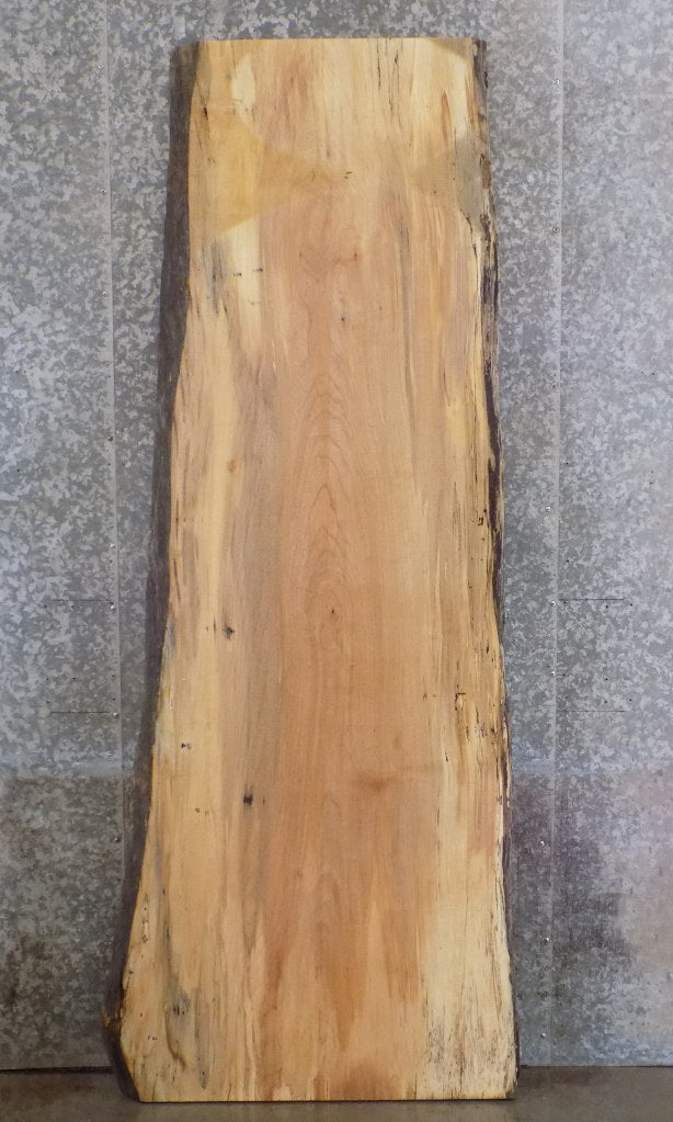 Live Edge Rustic Spalted Maple Bar/Table Top Wood Slab 42084