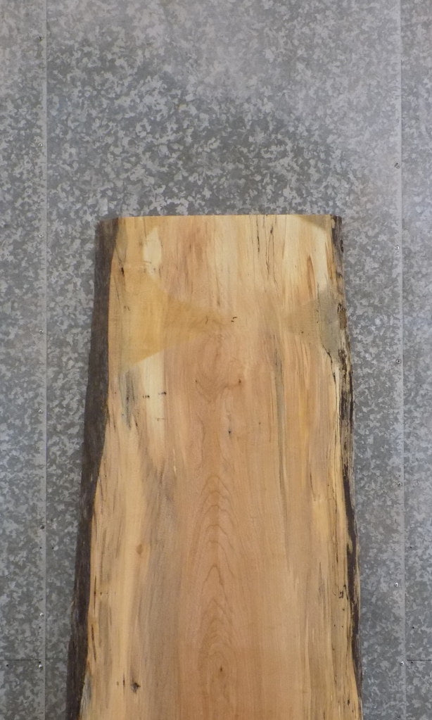 Live Edge Rustic Spalted Maple Bar/Table Top Wood Slab 42084
