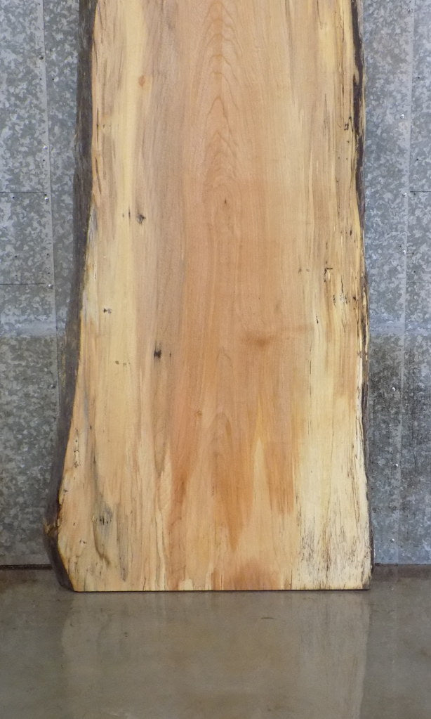 Live Edge Rustic Spalted Maple Bar/Table Top Wood Slab 42084