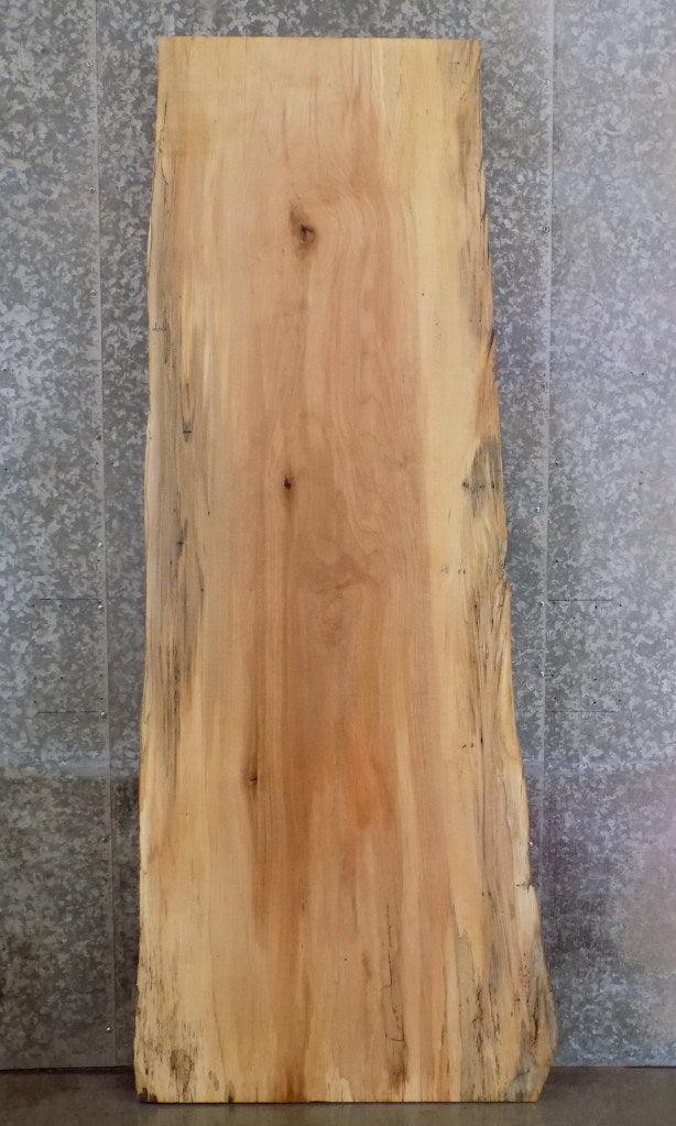 Live Edge Rustic Spalted Maple Bar/Table Top Wood Slab 42084