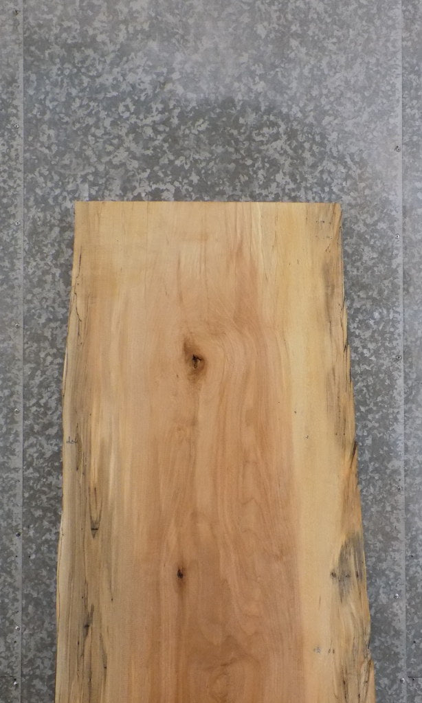 Live Edge Rustic Spalted Maple Bar/Table Top Wood Slab 42084