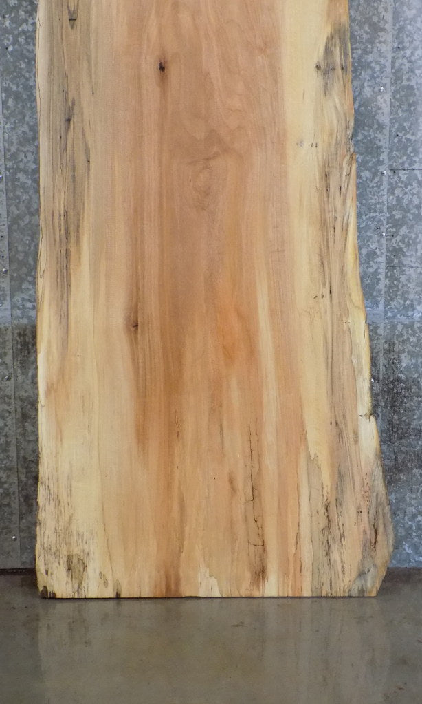 Live Edge Rustic Spalted Maple Bar/Table Top Wood Slab 42084