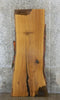 Thumbnail for Hardwood Live Edge Slab, White Oak Bar Top, Office Desk Slab 42086