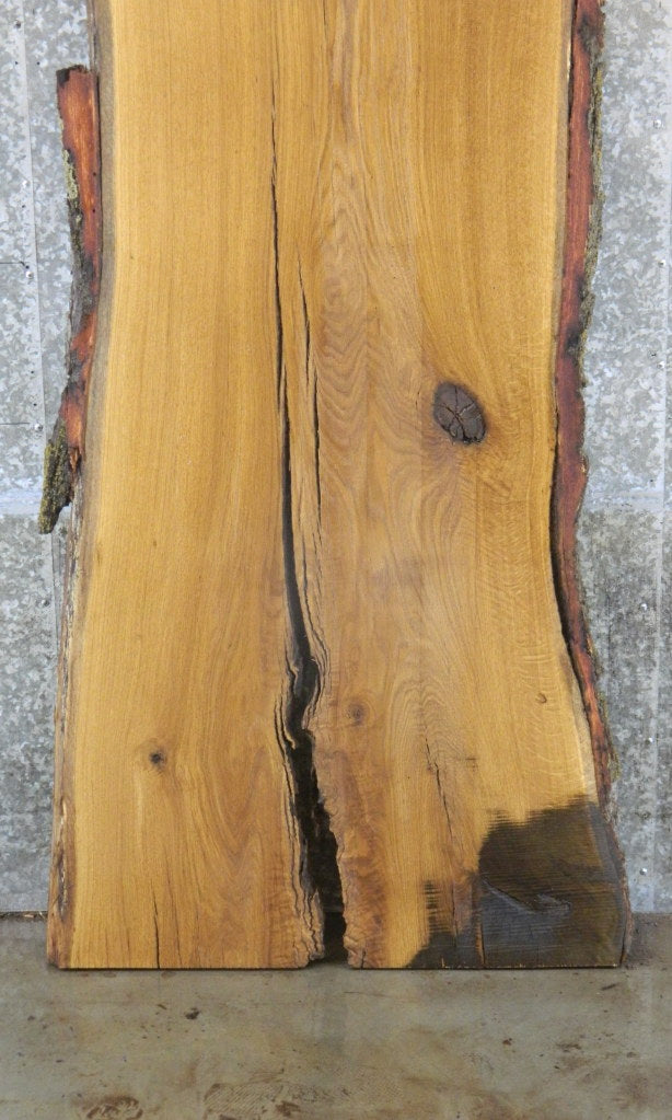 Hardwood Live Edge Slab, White Oak Bar Top, Office Desk Slab 42086