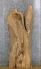 Thumbnail for Live Edge Ash Office Desk/Coffee Table Top Slab 42094