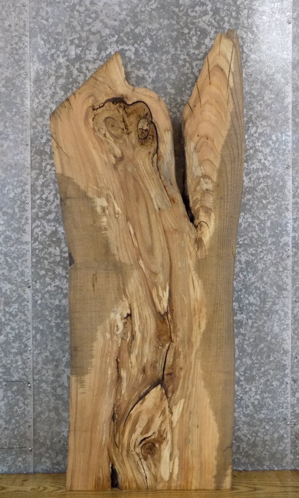 Live Edge Ash Office Desk/Coffee Table Top Slab 42094