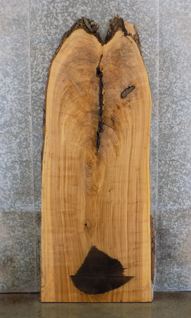Live Edge Salvaged Ash Office Desk/Table Top Wood Slab 42095