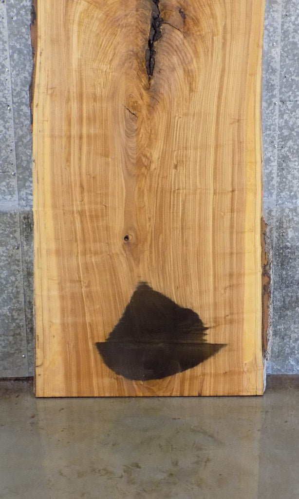 Live Edge Salvaged Ash Office Desk/Table Top Wood Slab 42095