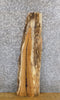 Thumbnail for Reclaimed Live Edge White Oak Accent/Entry Table Top Slab 4209