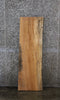 Thumbnail for Spalted Maple Live Edge Bench/Shelf Slab 42110