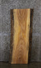 Thumbnail for Ash Live Edge Bench Slab, Wood Table Top 42112