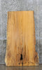 Thumbnail for Live Edge Hackberry Rustic Desk/Table Top Wood Slab CLOSEOUT 42115