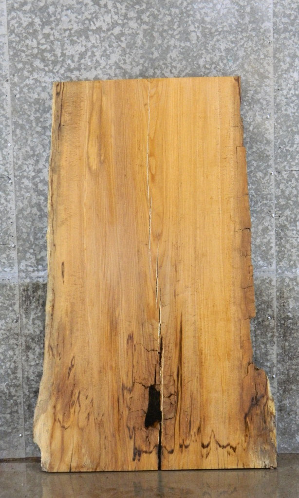 Live Edge Hackberry Rustic Desk/Table Top Wood Slab CLOSEOUT 42115