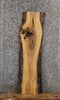 Thumbnail for Ash Live Edge Wood Slab, Taxidermy Wood, Mantel, Bench 42117