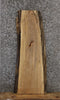 Thumbnail for Spalted Maple Live Edge Coffee Table, Wood Bench Slab 42119