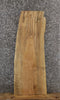 Thumbnail for Spalted Maple Live Edge Coffee Table, Wood Bench Slab 42119
