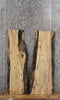 Thumbnail for 2- Spalted Maple Live Edge Bench Slabs, Great Character 42120