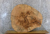 Thumbnail for Live Edge Ash Thick/Round Cut Coffee Table Top Slab CLOSEOUT 42121