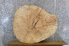 Thumbnail for Live Edge Thick/Round Cut Ash Coffee Table Top Slab CLOSEOUT 42122