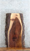 Thumbnail for Live Edge Black Walnut Sofa/Console Table Top Slab 42123
