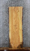 Thumbnail for Locust Live Edge Bench/End Table Slab 42125