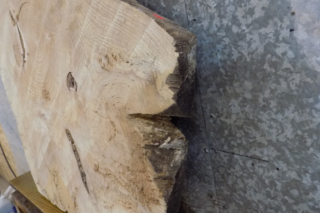 Round Cut Live Edge Ash Coffee Table Top Wood Slab CLOSEOUT 42126