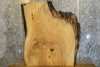 Thumbnail for Live Edge Bark Ash Coffee Table Top Wood Slab 42131