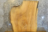 Thumbnail for Live Edge Bark Ash Coffee Table Top Wood Slab 42131