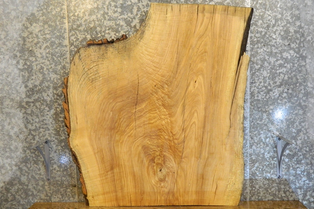 Live Edge Bark Ash Coffee Table Top Wood Slab CLOSEOUT 42131