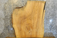 Thumbnail for Live Edge Bark Ash Coffee Table Top Wood Slab CLOSEOUT 42131